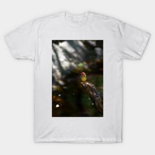 Star Finch Sentry T-Shirt